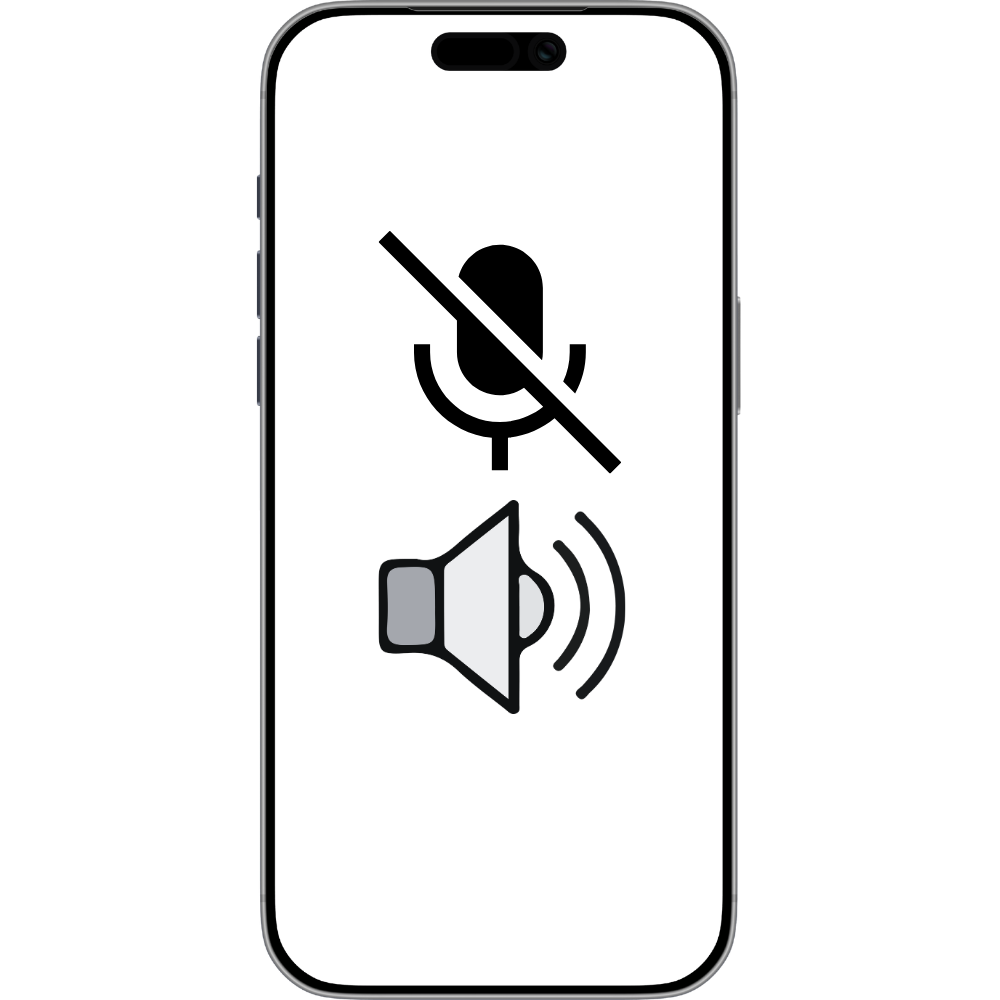 Speaker Mic issue